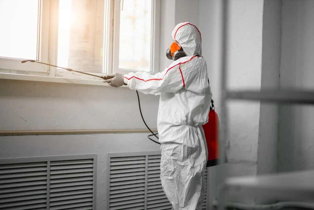 Professional mold remediation services in Odessa, MO